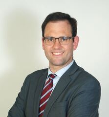 Francisco del Olmo García